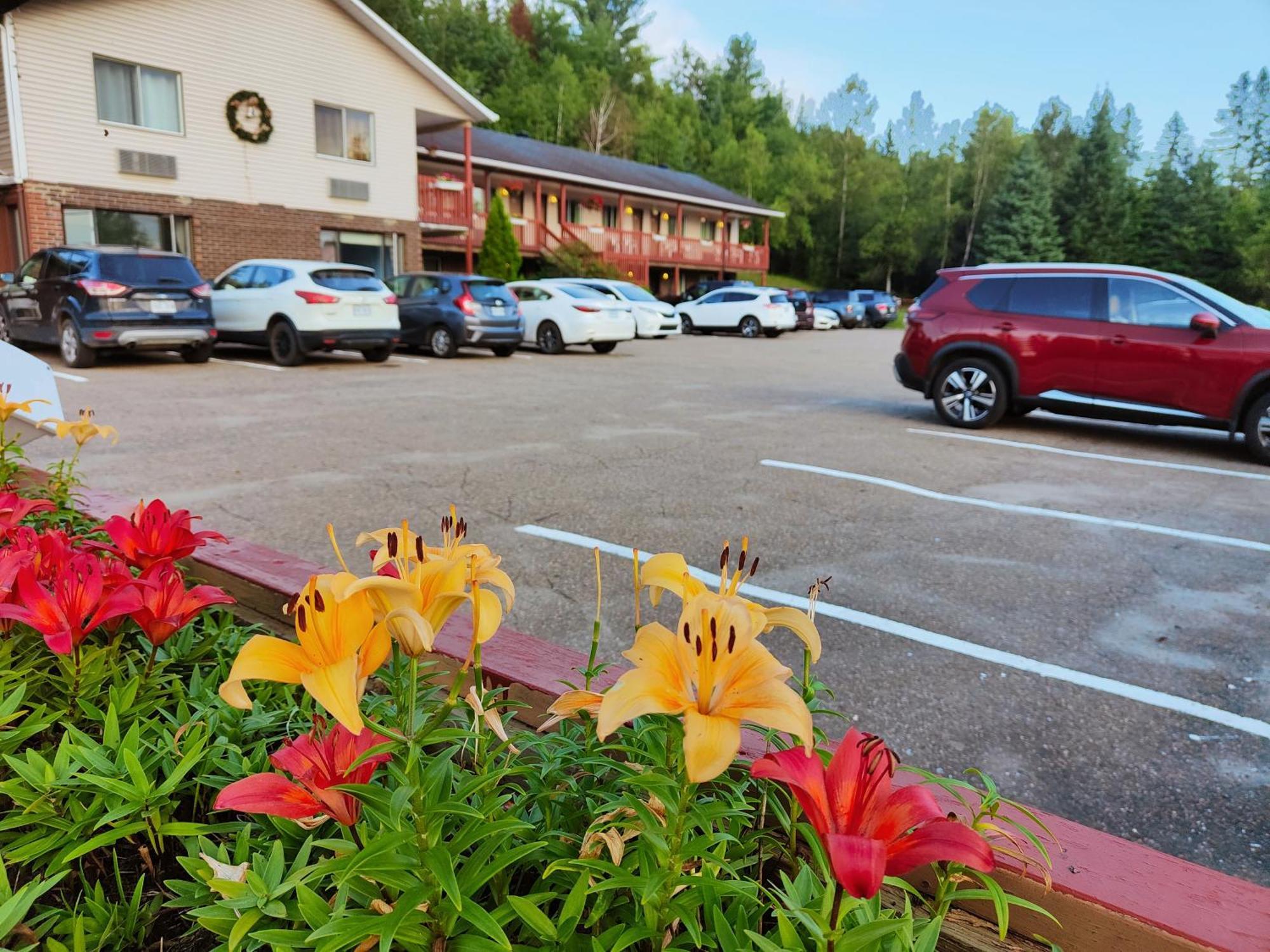 Motel Le Radisson De Val-David Dış mekan fotoğraf